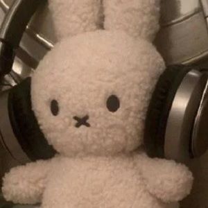 Meet your Posher, Honoka